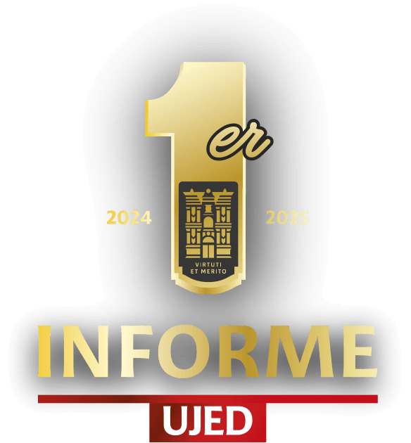 Logotipo Informe 2025